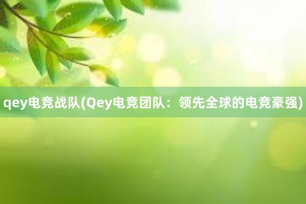 qey电竞战队(Qey电竞团队：领先全球的电竞豪强)