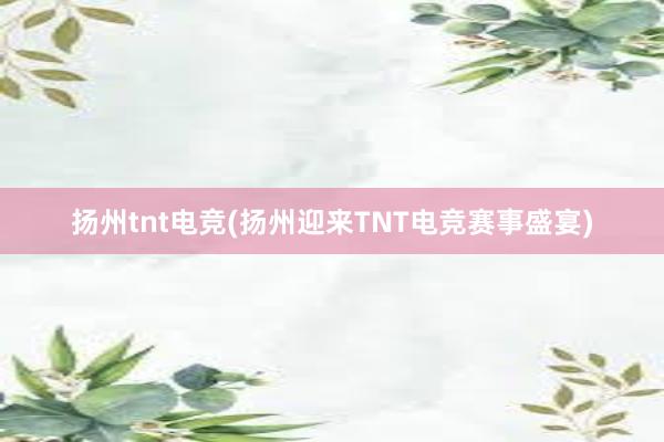 扬州tnt电竞(扬州迎来TNT电竞赛事盛宴)