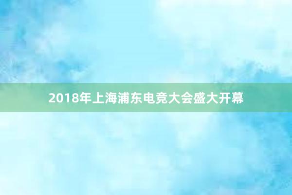 2018年上海浦东电竞大会盛大开幕