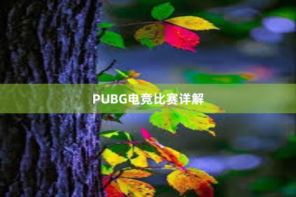 PUBG电竞比赛详解