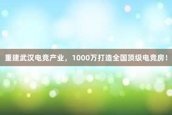 重建武汉电竞产业，1000万打造全国顶级电竞房！