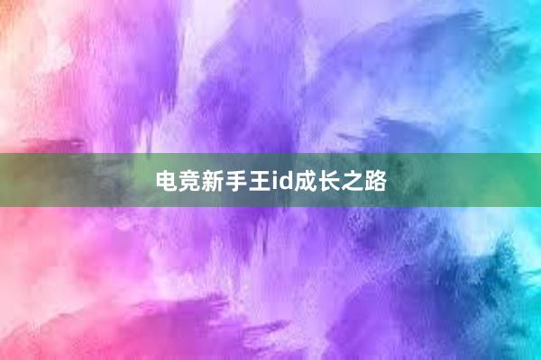 电竞新手王id成长之路