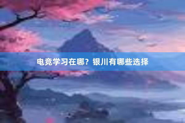 电竞学习在哪？银川有哪些选择